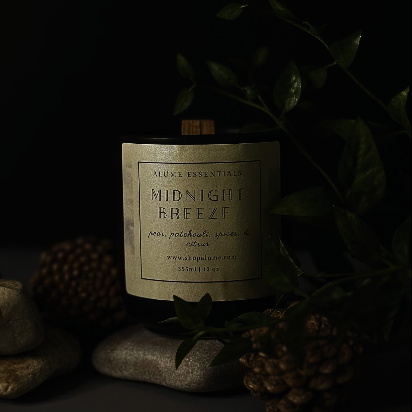 Midnight Breeze-Ivy & Elm